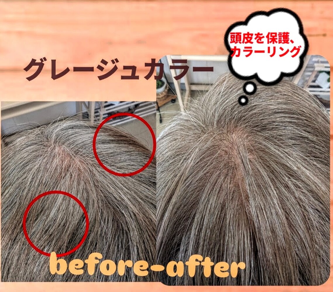 画像11199