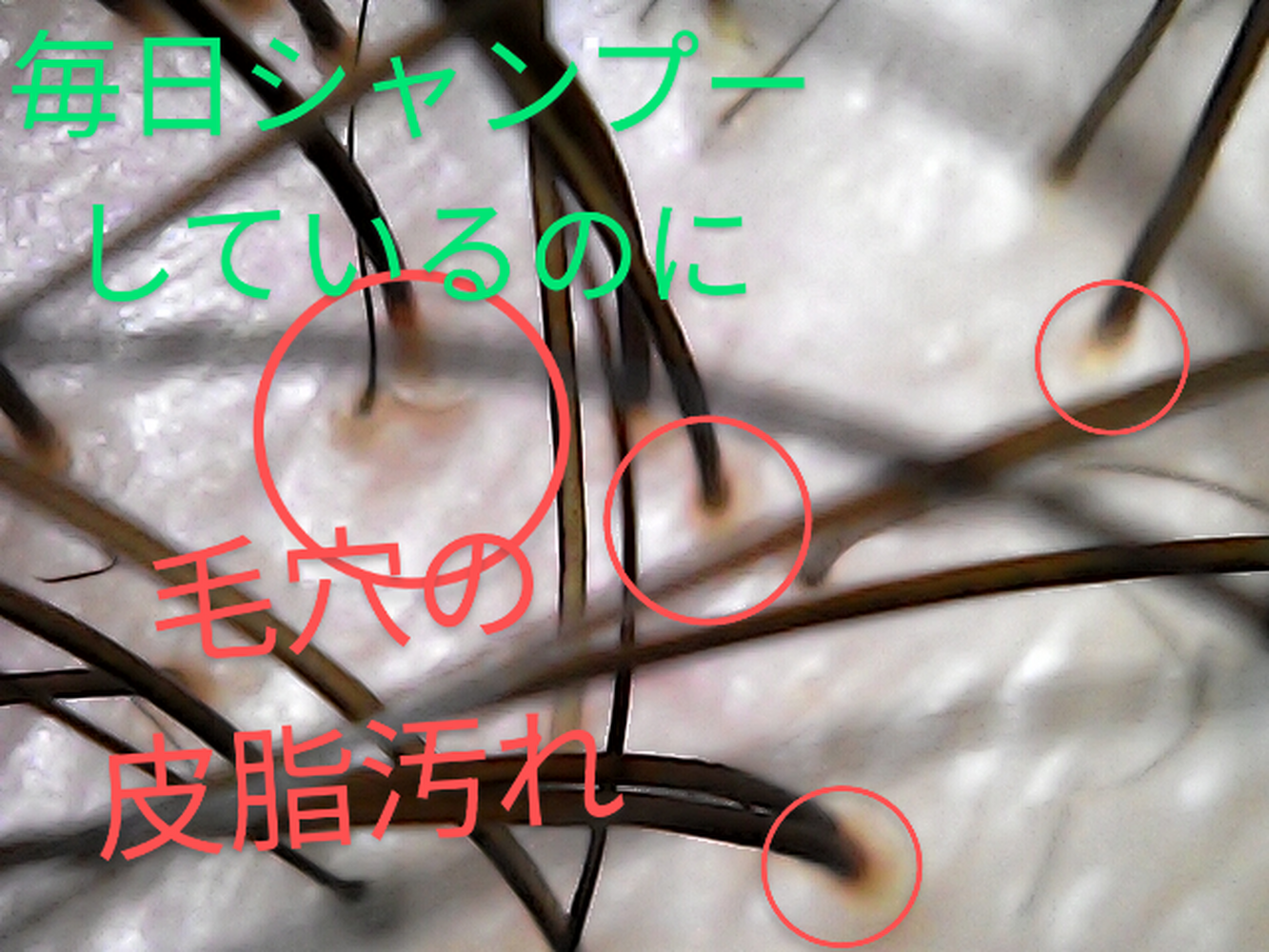 画像3745