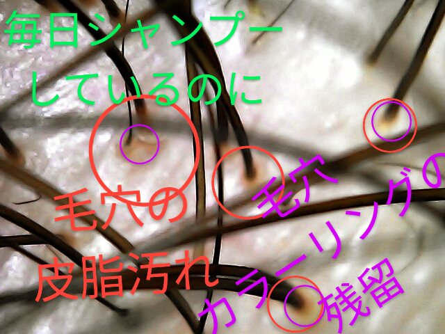 20250112_18_29_56~3.pn